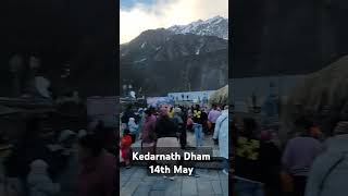 Kedarnath Dham 🙏🏽 #kedarnath  #shorts #youtubeshorts #mahadev