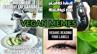 VEGAN MEMES Reaction