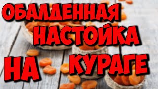 Превосходная настойка на кураге без запаха спирта. Это реально, это возможно.