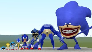 NEW SIZE COMPARISON OF THE SONIC TAPES AND ALL SONIC in Garry's Mod