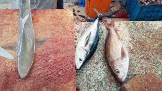 Red Ruby Fish Fantastic Cutting|| Skills of Red Ruby Fish Alive|| Fresh Ruby Fish Cutting Skills