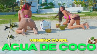 Veneno Carol - Agua De Coco  💦🥥🌴(Visualizer)