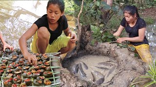 Traps catch fish  & grill fish for food in the forest - Cook snails with peppers for eat delicious