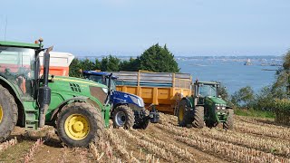 Ensilage de maïs sur la côte Bretonne | ETA GUILLOU