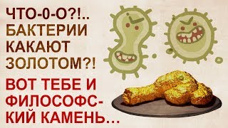 Технология биохимической трансмутации скоро изменит мир. Сергей Будков о грядущем.