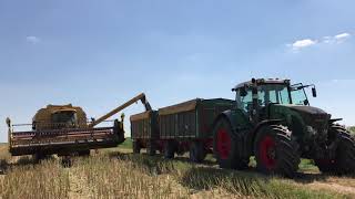 Rapsernte 927 Fendt Kröger Hänger und New Holland TX 67 Mähdrescher