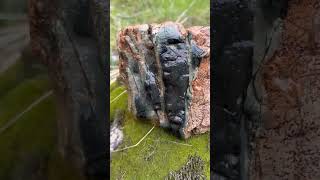 Southern Oregon Rockhounding #rockhounding #jade