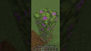 Minecraft Garden Arch Tutorial #minecraft #minecraftshorts #youtubeshorts