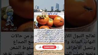 اعرف فوائد فاكهة الكاكا #غذاء_صحي #صحه #خسارة_الوزن #كاكا