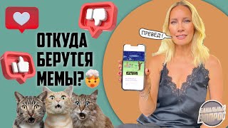 КТО СОЗДАЕТ КАРТИНКИ, КОТОРЫЕ ДЕЛАЮТ НАШ ДЕНЬ?