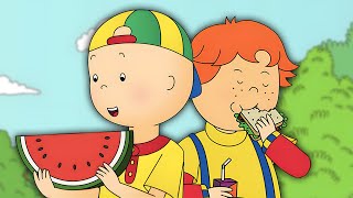 Kajtuś na pikniku | Kajtuś po Polsku [Caillou] - WildBrain