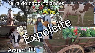 Feira de exposição de gado holandês 48° Expoleite em Arapoti PR