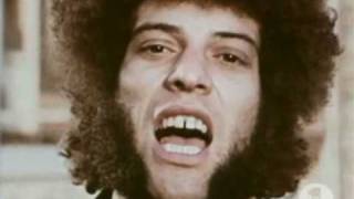 Mungo Jerry - In the summertime