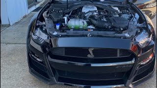 2020 Shelby Gt500 hands on!!