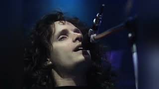 Robbie Nevil - C'est La Vie  (Top Of The Pops 1987)