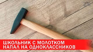 Школьник с молотком напал на одноклассников | Зона Х