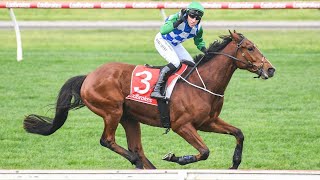 Warrnambool Racing Preview Day 1 Brierly Steeplechase Day (30/04/24) | Sky High Horse Racing