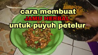 CARA MEMBUAT PROBIOTIK HERBAL UNTUK PUYUH PETELUR