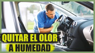 Cómo quitar el olor a humedad del coche