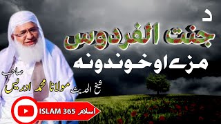 jannat mazey || molana sheikh m idrees seb pashto islami bayan| جنت مزے || مولانا شیخ ادریس صیب پشتو