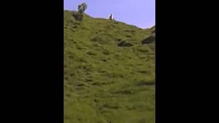 Mr muscle trys to kick a ball of Arthur seat