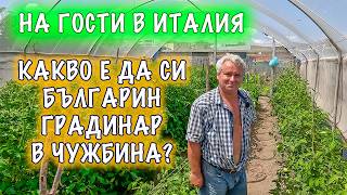 Какво е да имаш градина в подножието на активен вулкан? На гости на един българин градинар в Италия.