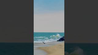 Co2 prateek kuhad | beach shorts #beach #explore #explorepage #shortsfeed #shorts #lofi #song