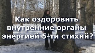 Приглашение на 2-х дневный вебинар" Как оздоровить внутренние органы энергией 5-ти стихий?"