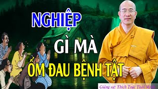 NGHIỆP gì mà hay Đau Ốm Bệnh Tật, nghe Phật dạy để biết cách chữa | Thầy Thích Trúc Thái Minh