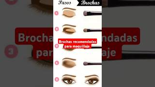 Brochas recomendadas para maquillaje de ojos 👁️🖌️✨#maquillaje  #brochasdemaquillaje