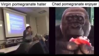 virgin pomegranate hater vs chad pomegranate enjoyer