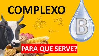 Complexo B para que serve? 🅱️