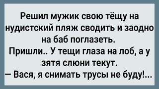 Как Зять Тещу На Нудистский Пляж Сводил! Сборник Свежих Анекдотов! Юмор!