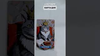 6 ОКТЯБРЯ, ВОСКРЕСЕНЬЕ. Карта дня - Король жезлов #tarotube #tarot #таро #таролог