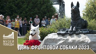 ДЕНЬ ФРОНТОВОЙ СОБАКИ 2023