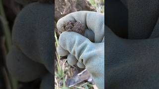 Mystery find METAL DETECTING #so frustrating… #metaldetecting #treasurehunting