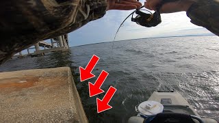 WE DROPPED OUR BAITS HERE AND HIT THE FISHING *JACKPOT*! THEY WERE *STACKED* HERE!