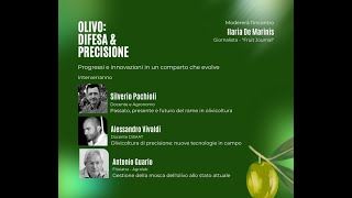 Olivo: difesa & precisione - Progressi e innovazioni in un comparto che evolve