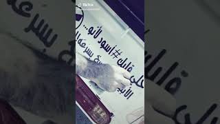 مين معي بهالحكي 🖤🍂