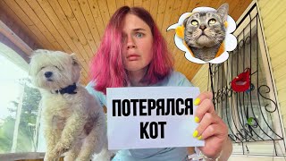 влог: ПОТЕРЯЛСЯ СЛАДУНЯ! САМЫЙ ЛЮБИМЫЙ КОТ БЕЗ ЛАПКИ 😭