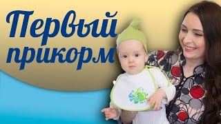 Первый прикорм и рацион ребенка в 7 мес