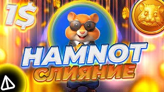 СЛИЯНИЕ NOTCOIN И  HAMSTER KOMBAT! HAMNOT! HAMNOT РОСТ ВОВЛЕЧЕННОСТИ! ЛЕГКИЕ ИКСЫ НА HAMNOT!