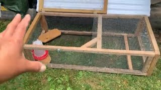 Quail cage - modified DIY