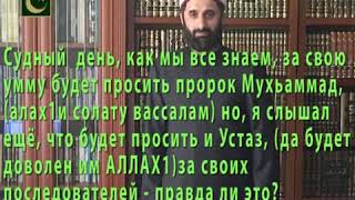 Судный день, за свою умму будет просить пророк Мухаммад, но я слышал, что будет просить и Устаз