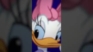 Daisy Duck Daisy Face