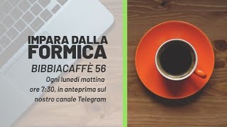 Impara dalla formica - Bibbiacaffè n.56 | Zac e Cloe