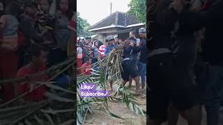 Bantengan singorojo #shorts #trending #viral