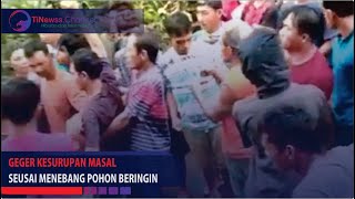 Geger, Kesurupan Masal Seusai Menebang Pohon Beringin