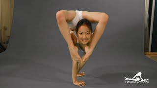 Mongolian Contortion by Tsetse