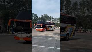 Bus Rosalia Indah executive plus dari karoseri tentrem advante H9